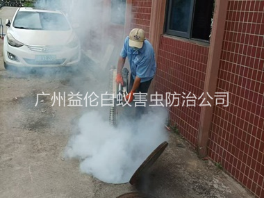 南石头环境蟑螂消杀工程