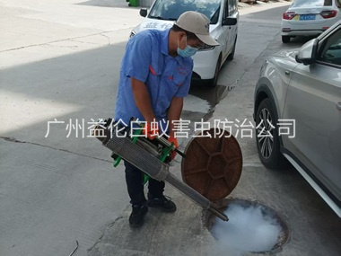 新港下水道热烟雾灭杀蚊虫、蟑螂工程
