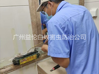 沙园诱杀箱施药灭杀白蚁工程