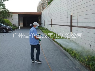 沙园企业园区消杀蚊蝇工程