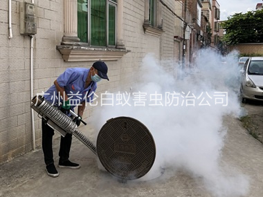 新港村庄有害生物消杀工程