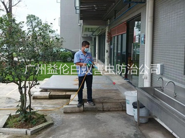 南华西外环境消杀四害工程